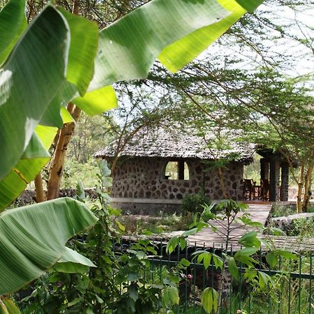 Kiboko Lodge Usa River Exterior foto