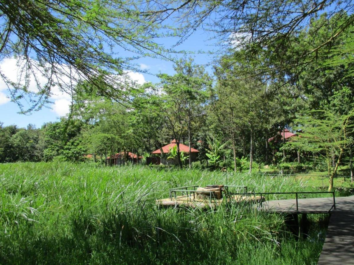 Kiboko Lodge Usa River Exterior foto